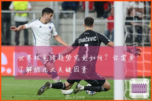 世界杯竞猜趋势究竟如何？你需要了解的几大关键因素