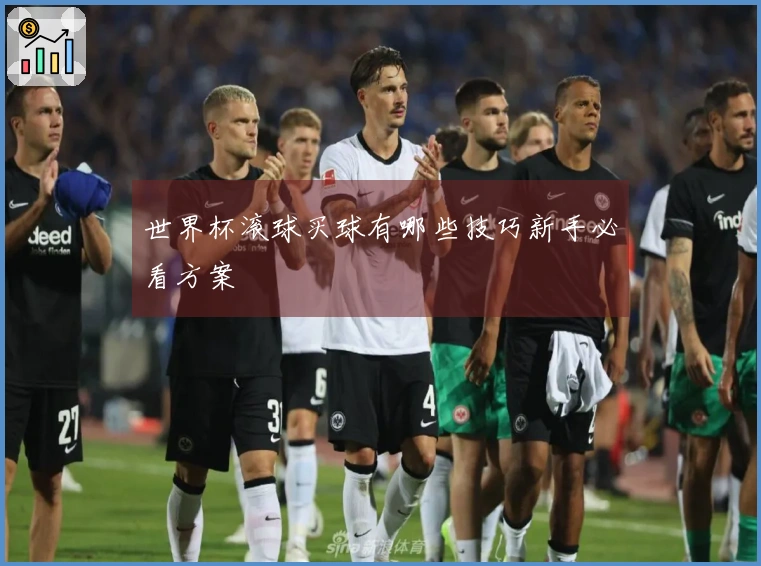 世界杯滚球买球有哪些技巧新手必看方案